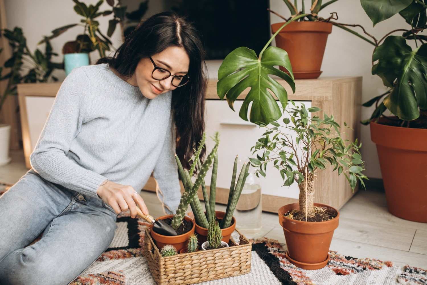Plant Care view 3
